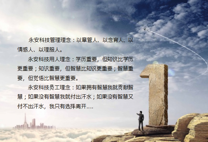 公司理念